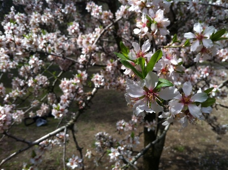 2014 03 22 12 57