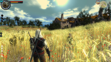 The Witcher