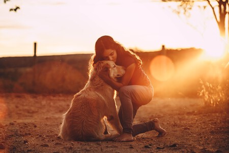 animal-apoyo-emocional