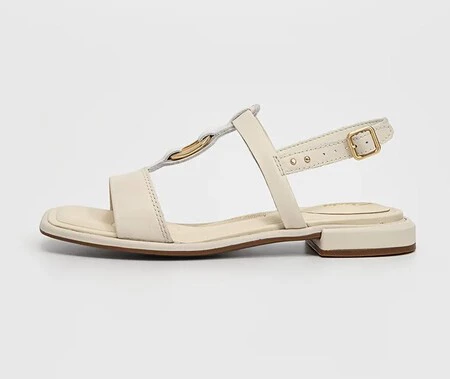 Clarks