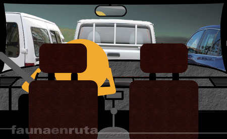 fauna en ruta: Atasco de tráfico