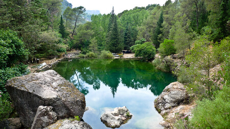 Charco del aceite