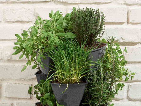 Conjunto De Cesta De Hierbas De Jardin Vertical Zoom 2