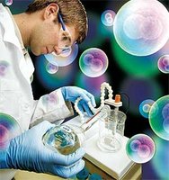 Las células madre ayudarán a la reproducción asistida