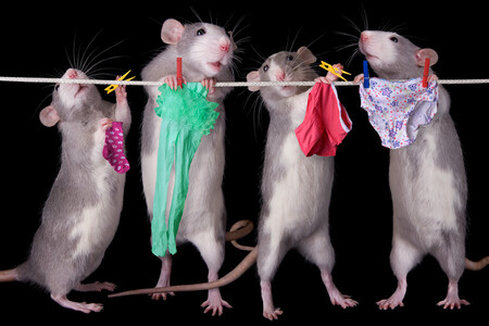 Shutterstock 34114456