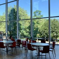 Professores criam técnica para pegar estudantes que trapaceiam usando o ChatGPT