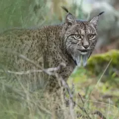 Foto 5 de 6 de la galería hasta-14 en Xataka Foto