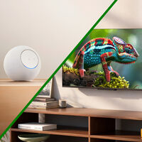 Nuevos Echo con Alexa, televisores "económicos", una cámara Ring y actualización del Fire TV: esto es lo nuevo de Amazon en México para 2025