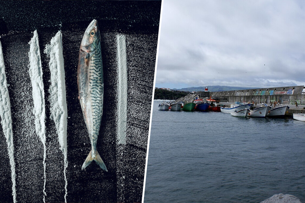 En 2001 un yate se refugió en una isla remota del Atlántico. Días después sus habitantes empanaban pescado con coca 