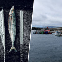 En 2001 un yate se refugió en una isla remota del Atlántico. Días después sus habitantes empanaban pescado con coca 
