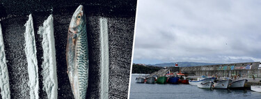 In 2001, a yacht took refuge on a remote island in the Atlantic. Days later its inhabitants breaded fish with coca