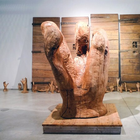 Exposicion Temporal En El Museo