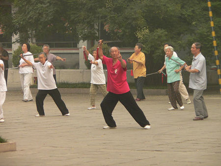 Tai Chi: la técnica del movimiento (II)