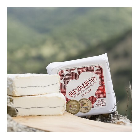 Queso De Cabra De Coagulacion Lactica Madurado Con Mohos Olavidia Quesos Besos