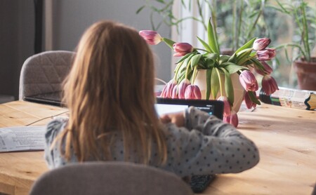Francia aprueba una ley para proteger a los menores influencers: regular horarios, ingresos y derecho al olvido