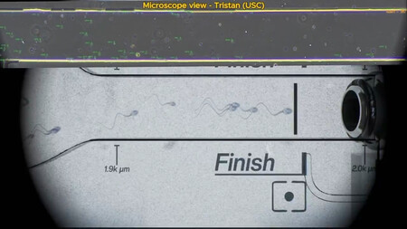 Vs Spermracingspermracingx 0 46