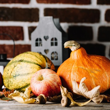 Lidl pone a la venta 
 cinco plantas para decorar la casa en Halloween: resistentes, fáciles de cuidar y con macetas terroríficamente bonitas