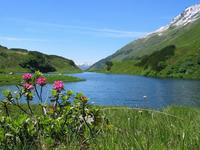 Excursión por los Alpes Austríacos II: el nacimiento del río Litz