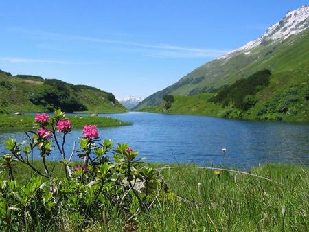 Excursión por los Alpes Austríacos II: el nacimiento del río Litz