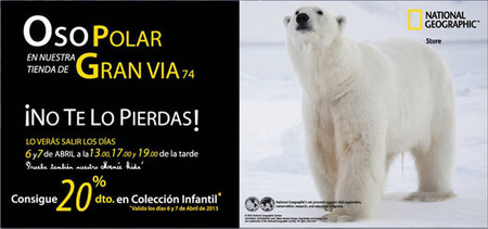 Llega a Madrid el oso polar de National Geographic con actividades infantiles y descuentos en su nueva tienda