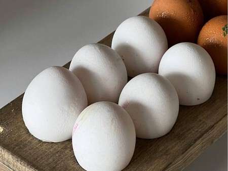 Copia De Plantilla 1200x900 1