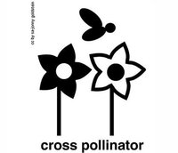 Competitividad en diez pasos