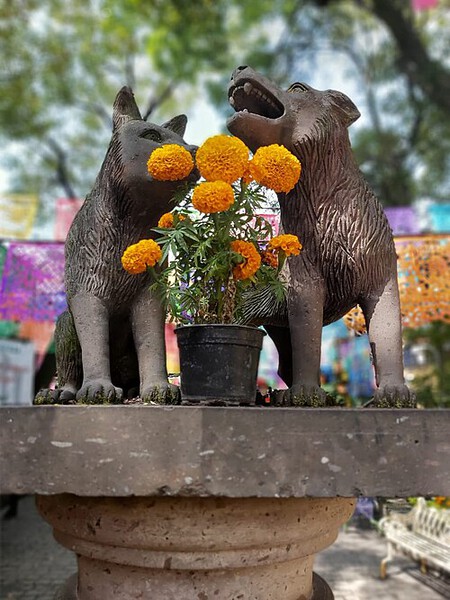 Día de Muertos en Coyoacán 2026: ofrenda monumental, festival de cacao y actividades gratis por día