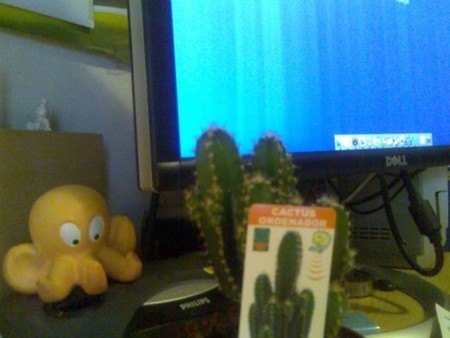 ¿Sirve de algo poner un cactus cerca de nuestro ordenador?