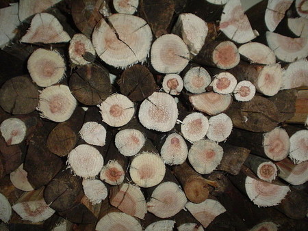 Leña