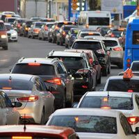 ¿Preocupados por el CO₂ de los coches? Un estudio revela que los jabalíes emiten más que 1,1 millones de vehículos 