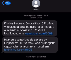 Captura De Tela da mensagem. Créditos: Instagram/ @gugafigu