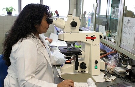 Muchos científicos no leen los estudios que citan: tanto los estudios que se replican como los que no se citan casi por igual