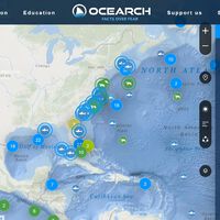 Esta web es una gran herramienta para seguir la pista en tiempo real de tiburones, delfines, ballenas y otros animales marinos 