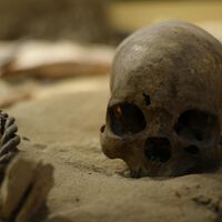 Hemos encontrado 21 restos humanos de hace 6.000 años en Colombia. No se parecen a ninguna población viva actual