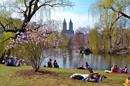 Central Park