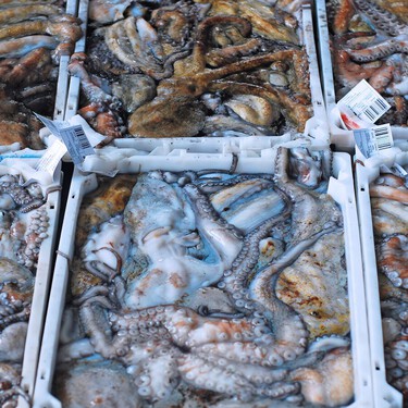 Pillan al  patrón mayor de Portonovo en Pontevedra con casi 118 kilos de capturas de pulpo de más