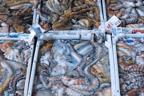 Pulpo