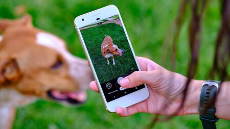 Analisis Google Pixel 1 6