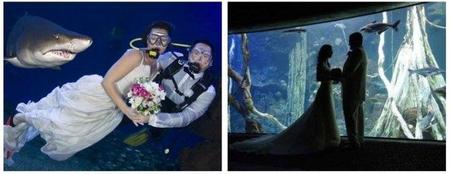 Mallorca: bodas bajo el agua y rodeados de tiburones