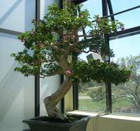 Gestión lean en la pyme (I): ¿Qué es la gestión lean?