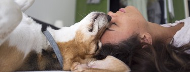 Sí, se le puede cambiar el nombre a un perro y hay trucos para hacerlo de forma fácil y segura 