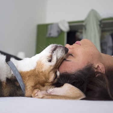 Sí, se le puede cambiar el nombre a un perro y hay trucos para hacerlo de forma fácil y segura 