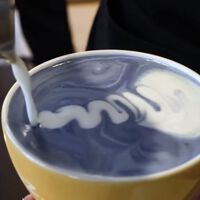 En nuestra obsesión por tener un café más "nutritivo", estamos echando un ingrediente que sabe a charco: espirulina