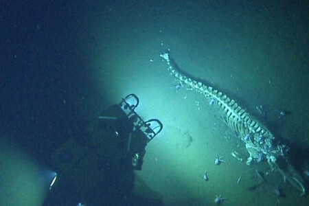 Cientificos Descubrimiento Oceanos
