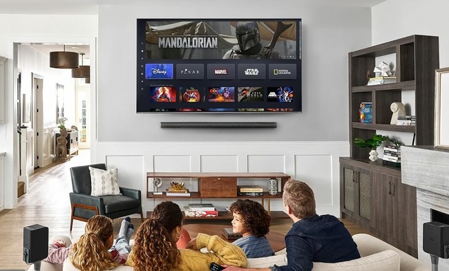 Vizio