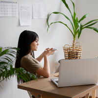 Pon una planta en tu oficina para mejorar la productividad y el ánimo. Expertos en Harvard nos dan buenas razones