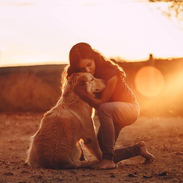 Qué es un animal de apoyo emocional y por qué esta figura no existe en España 
 