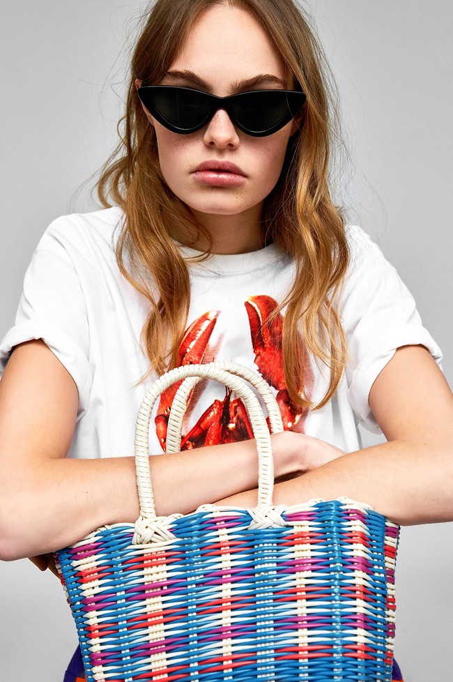 Zara Nueva Temporada