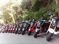 El mundo no acaba en Finisterre ni lo sujetan cuatro elefantes sobre el caparazón de Gran A'Tuin 