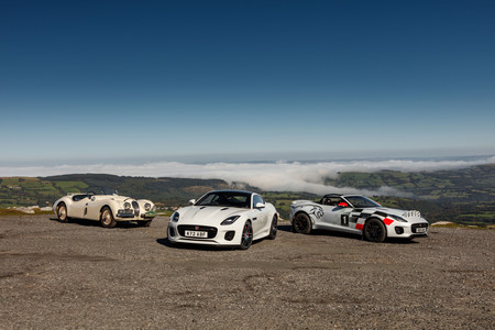 Jaguar F-Type Rally Car